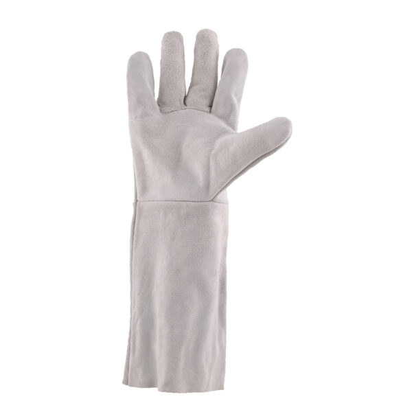 Chrome leather Gloves Elbow length