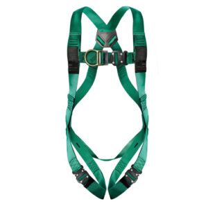 2 Point Pro Harness